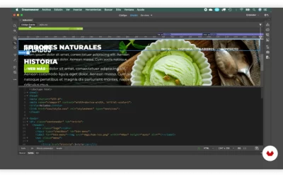 DISEÑO WEB CON DREAMWEAVER Y FLASH