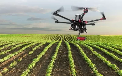 SUPERVISIÓN AGRÍCOLA MEDIANTE IMÁGENES Y DRONES