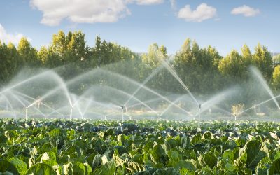 USO EFICIENTE DEL AGUA EN EL SECTOR AGRARIO