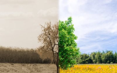 RIESGOS AMBIENTALES EN EL SECTOR DE LA RECUPERACIÓN