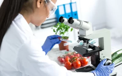 MICROBIOLOGÍA DE LOS ALIMENTOS