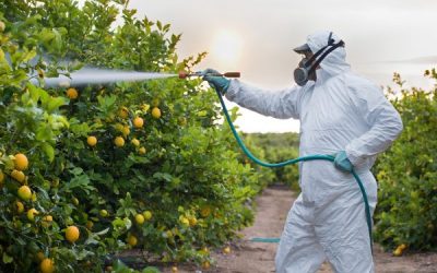 DEFENSA CONTRA PLAGAS Y ENFERMEDADES EN AGRICULTURA ECOLÓGICA